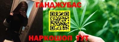 прущие грибы Чебоксары