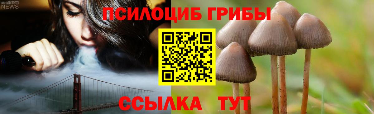 Псилоцибиновые грибы GOLDEN TEACHER  дарнет шоп  Вход с VPN  Сунжа  Галлюциногенные грибы MAGIC MUSHROOMS 