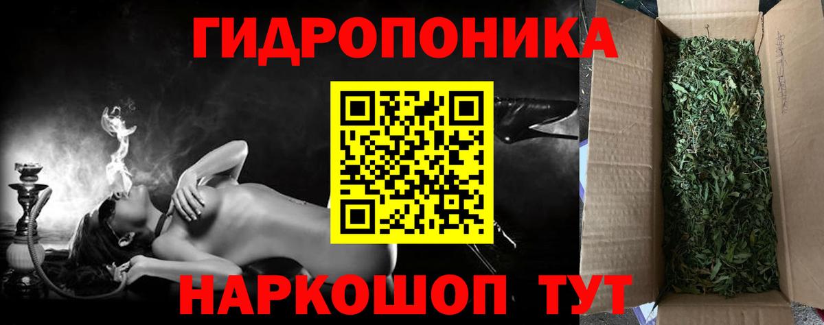 Канабис план Сунжа